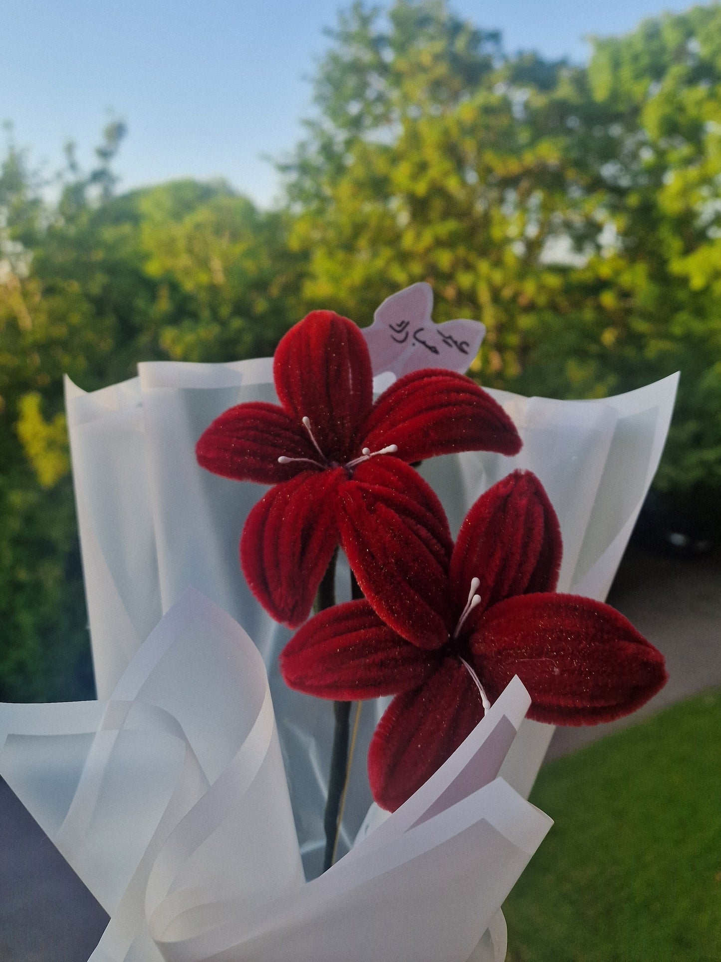 Sisters Eid Bundle