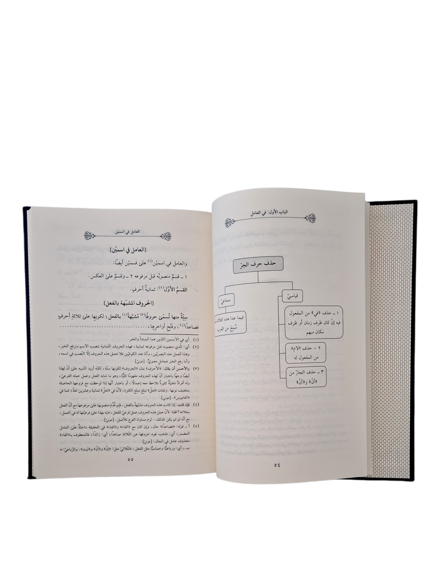 إظهار الاسرار في علم النحو | محمد بن بيرعلي البركوي الحنفي | ط. دار الضيا